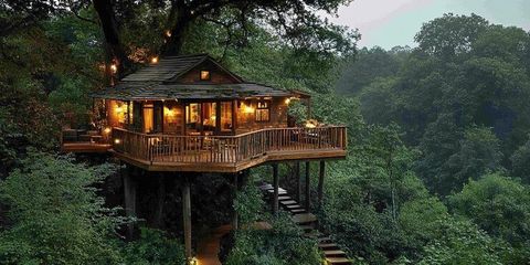 Treehouse Hotels: How They Work, What to Expect & Why They’re Popular